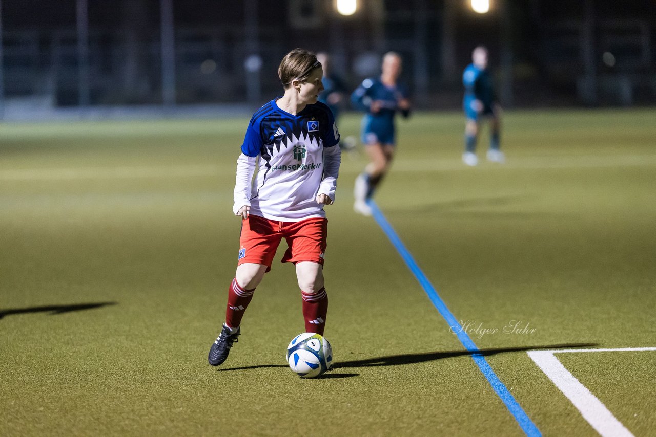 Bild 228 - F SC Alstertal-Langenhorn - Hamburger SV 3 : Ergebnis: 2:2
